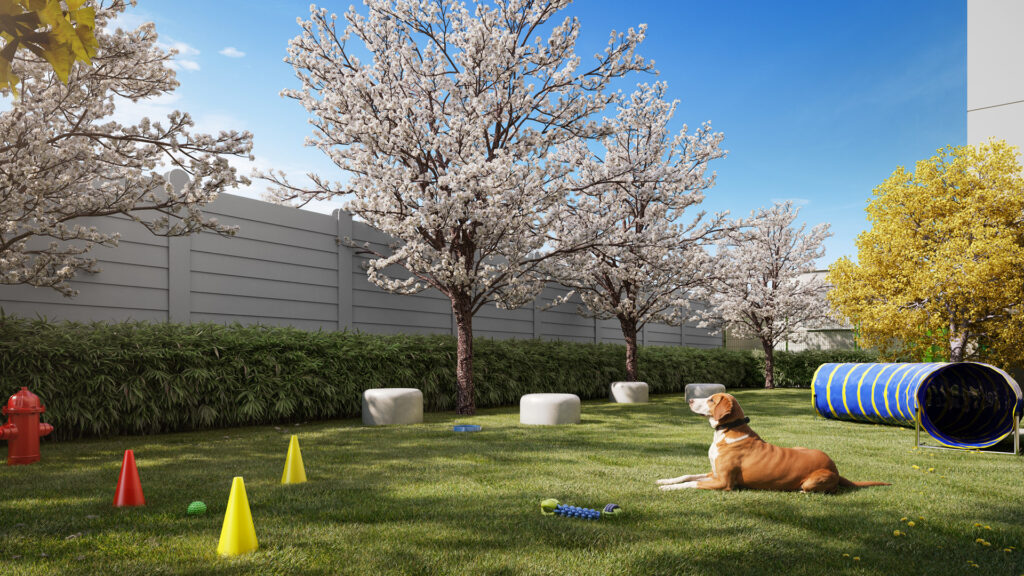 Perspectiva ilustrada do Pet Place